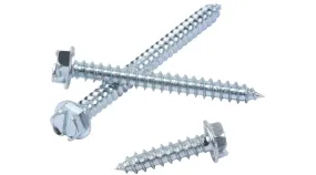 HEX WASHER SLOT. HEAD SHEET METAL SCREWS Zinc Plated